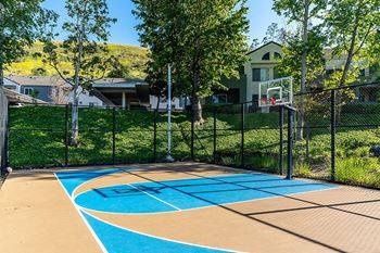 Basketball court
